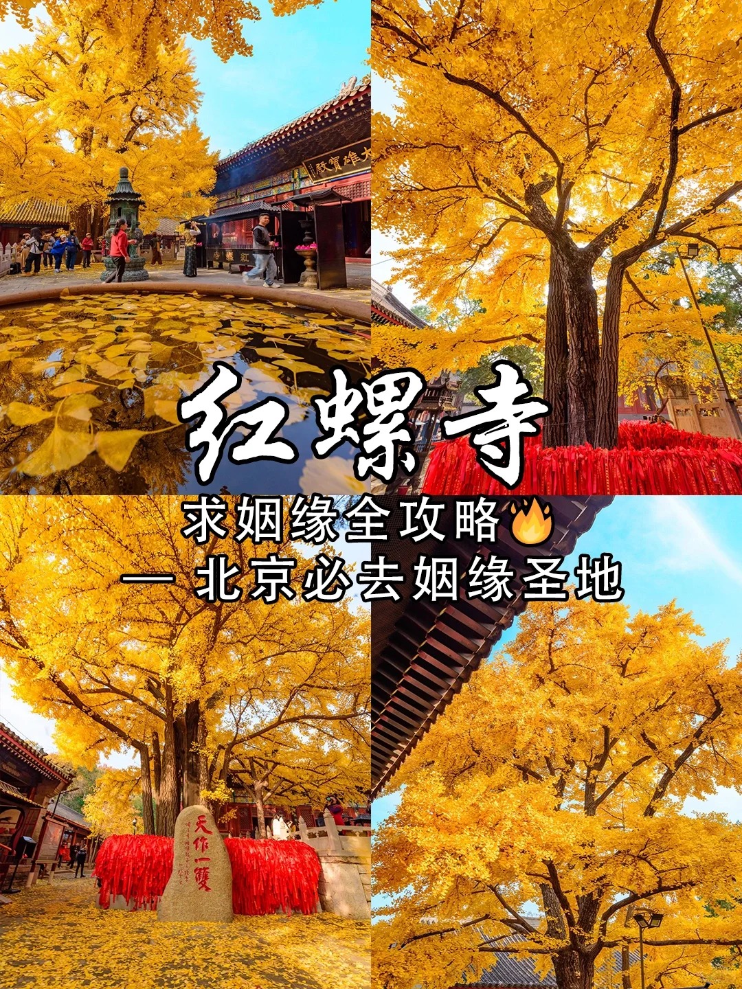 _1_逃跑去冰岛_北京郊区-来自52tours 我爱旅游网
